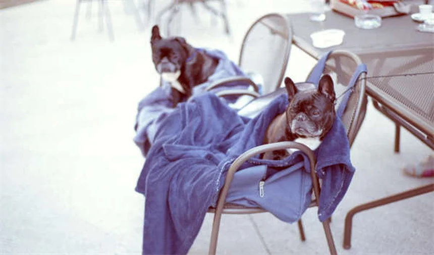 2026 Cadillac Optiq-V: Performance & Price Breakdown